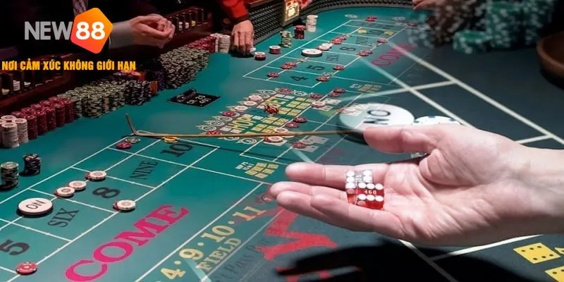 Vòng cược 1 có nhiều lựa chọn khác nhau khi chơi Craps